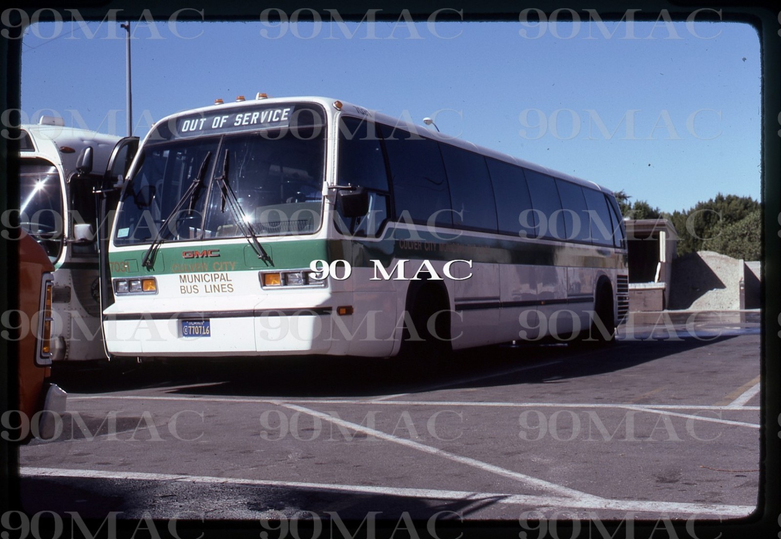 CCMBL. GM RTS BUS #7031. Culver City (CA). Original Slide 1981.
