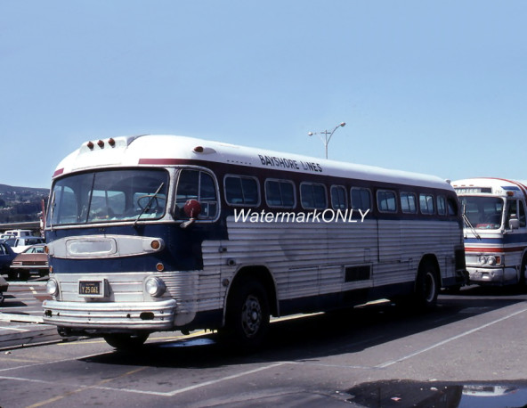 “Bayshore Lines Transportation” Vintage GM Bus “Roadside Americana” PHOTO! #(14)