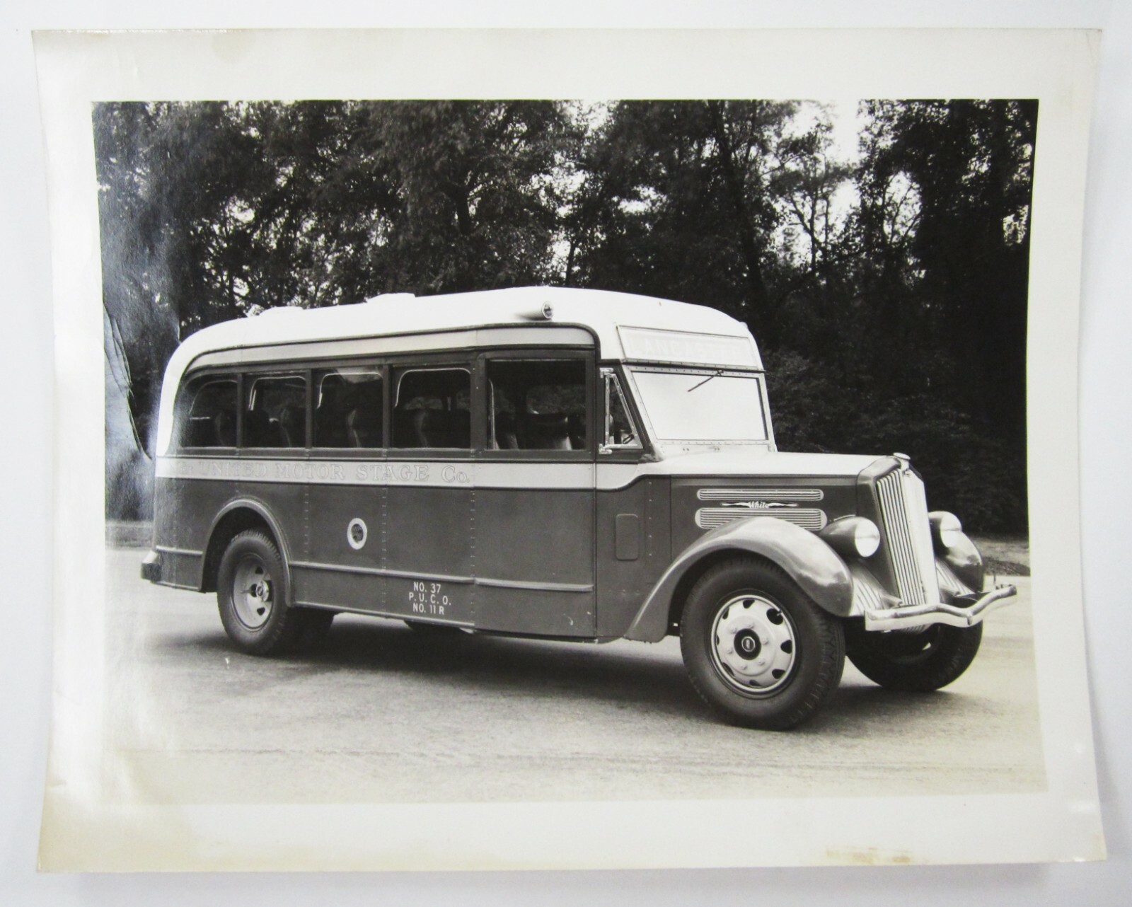 Vintage White Motor Company Model 706 Tour Bus Original Factory Photo c 1936