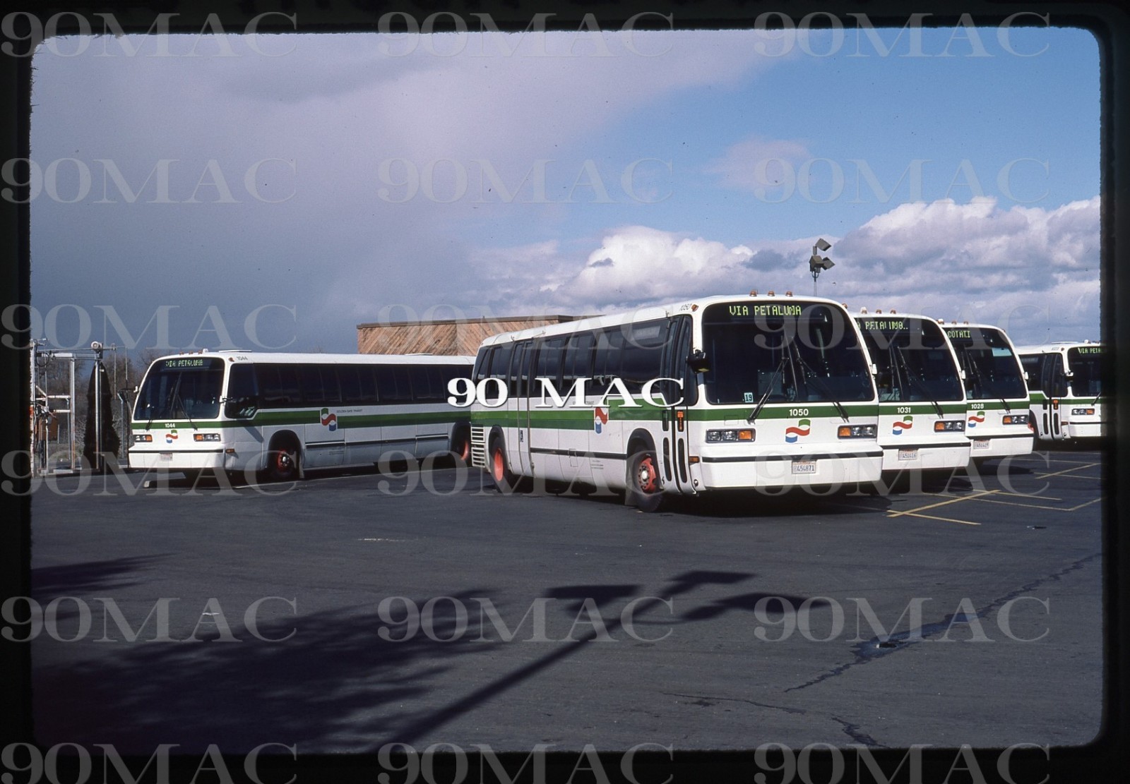 GGT-GOLDEN GATE TRANSIT. GM RTS BUS #1050. Santa Rosa (CA). Original Slide 1985.