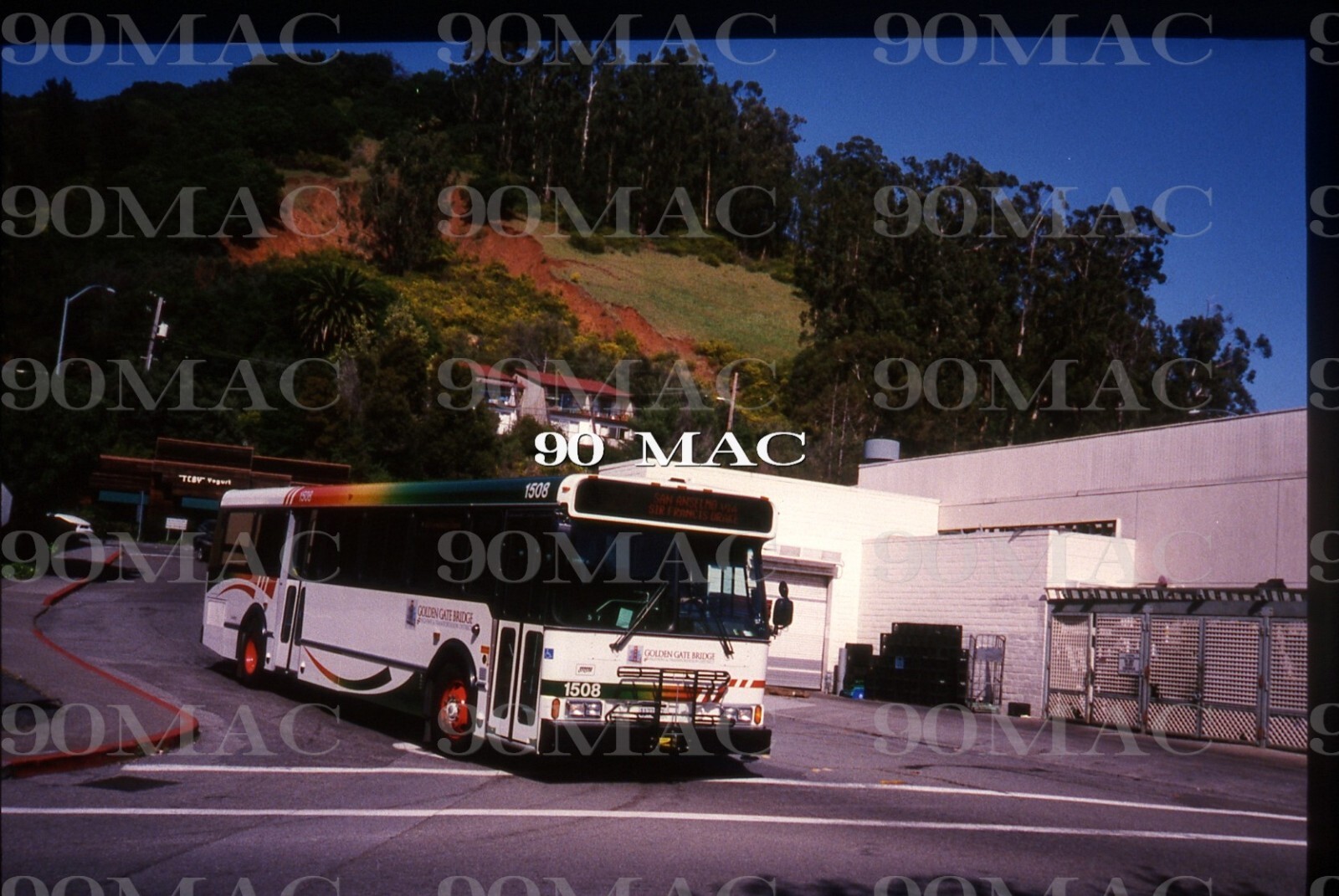 GOLDEN GATE TRANSIT-GGT. ORION V BUS #1508.San Rafael (CA). Original Slide 2004.
