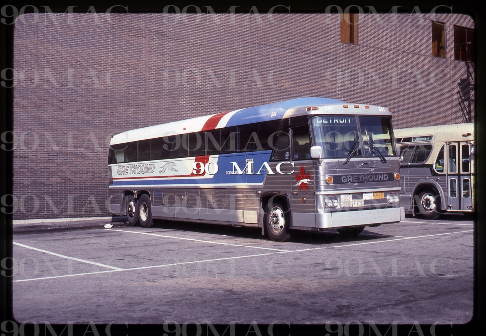 GREYHOUND CANADA. MCI COACH #541. Windsor (ON). Original Slide 1985.