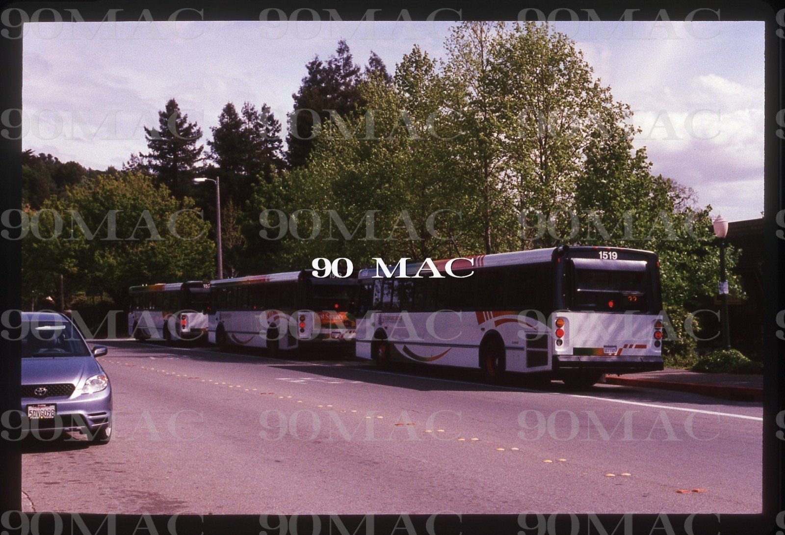 GGT-GOLDEN GATE TRANSIT. Orion Bus #1519. Marin (CA). Original Slide 2004.