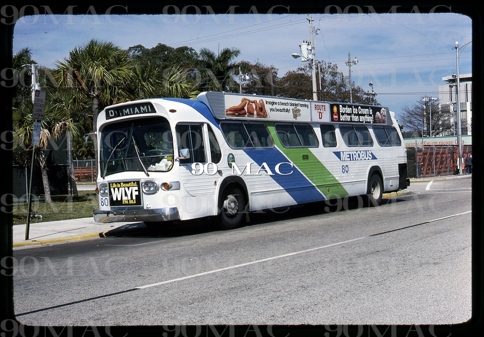 MIAMI-DADE TRANSIT. GM COACH BUS #80. Miami (FL). Original Slide 1978.