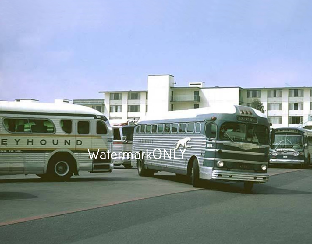 Classic Vintage “Greyhound” Buses “Roadside Americana” PHOTO! #(22)