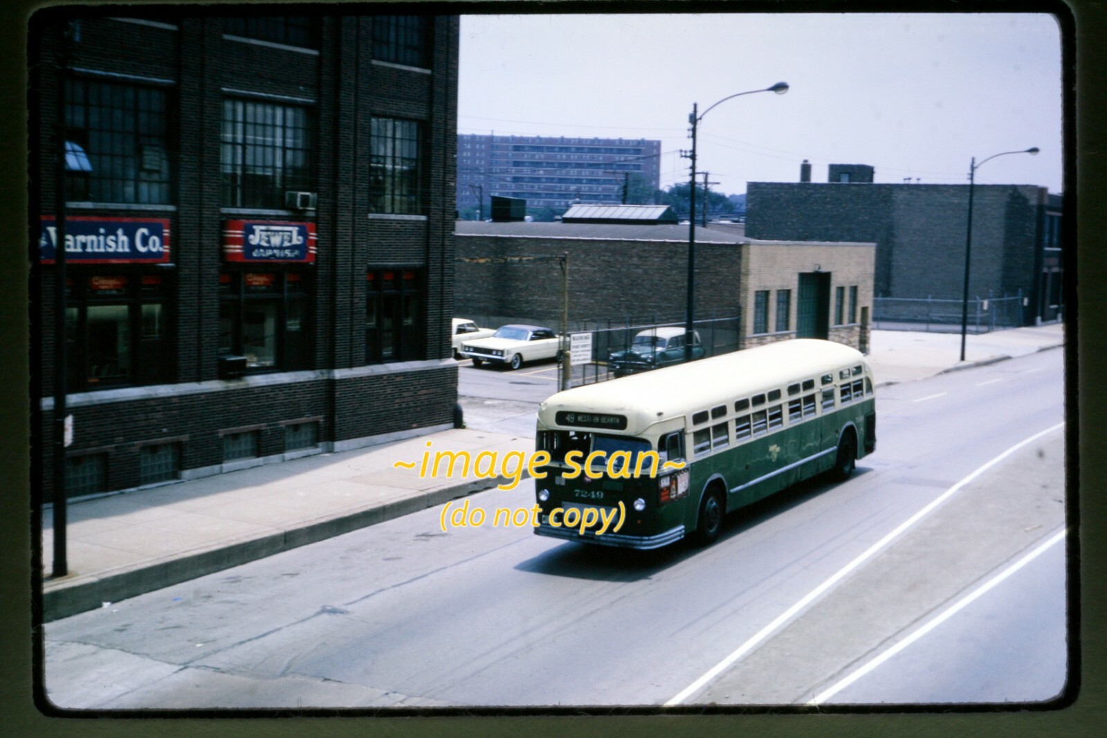 CTA Chicago Transit Bus 7249 in 1965, Kodachrome Slide h16b