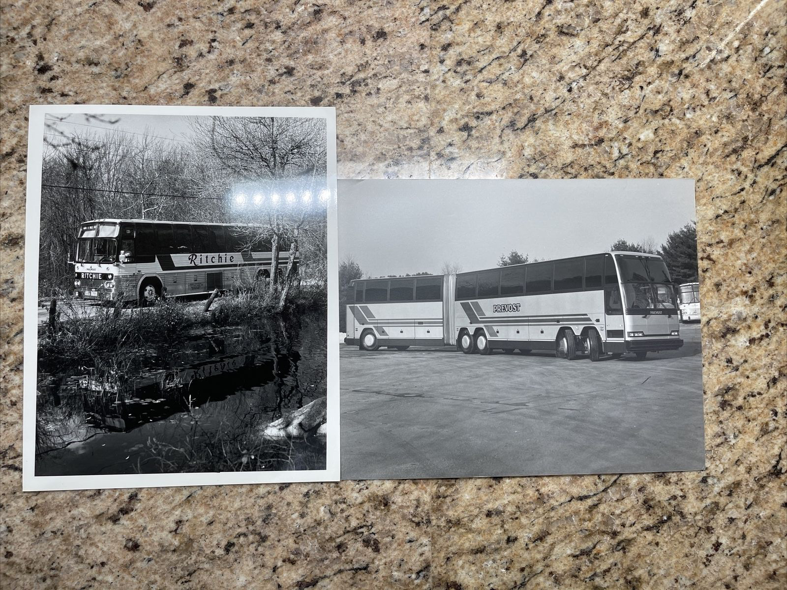 20 bus photographs. 8×10 Black and White Photos