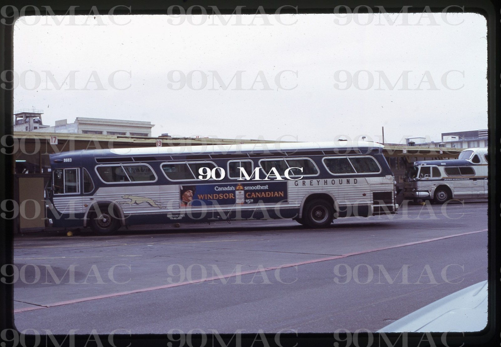 GREYHOUND. GM COACH BUS #9603. San Francisco (CA). Original Slide 1972.