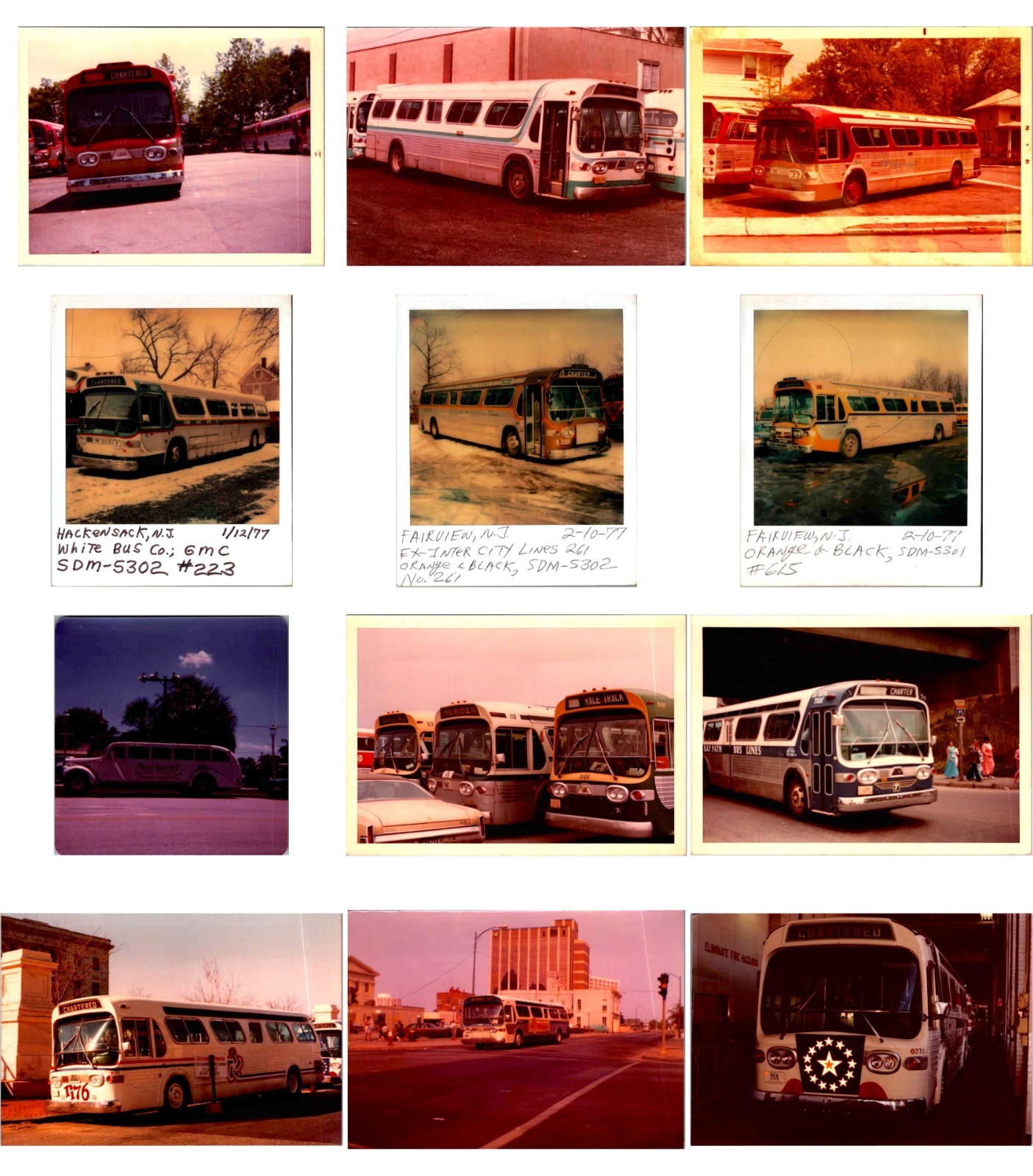 (LOT B) of 190+ bus trolley photos 3.5″x5″ transportation color