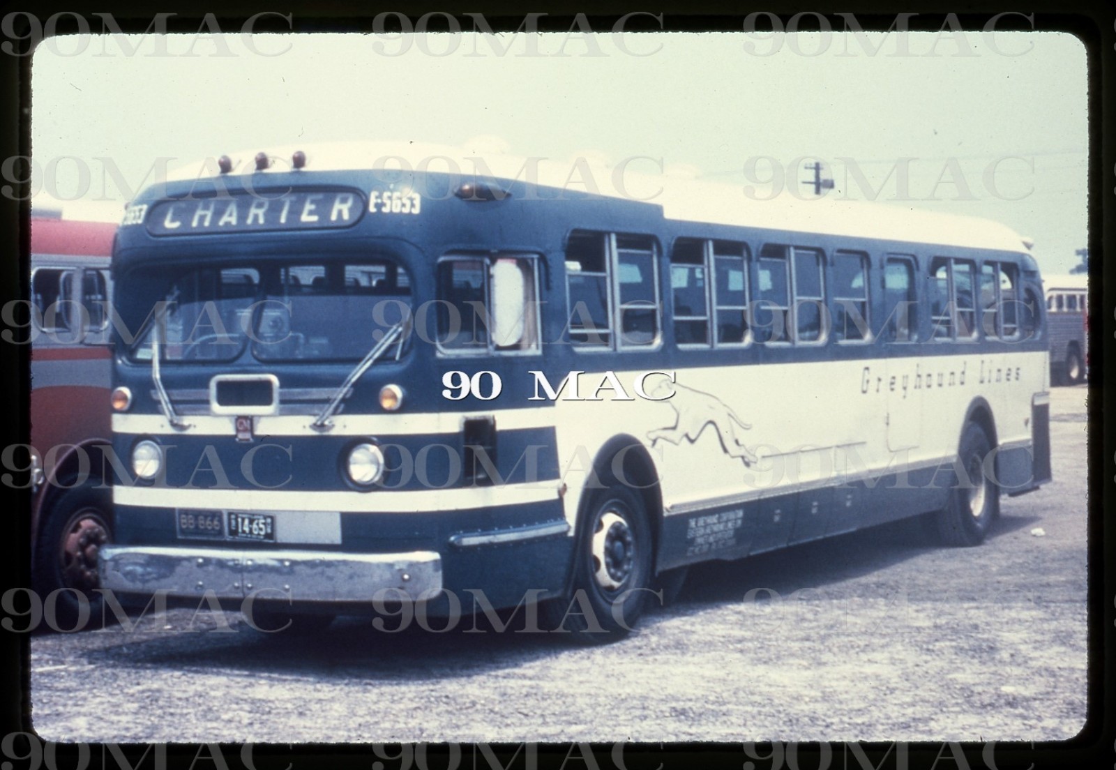 GREYHOUND. GM COACH BUS #E-5653. Washington (DC). Duplicate Slide 1959.