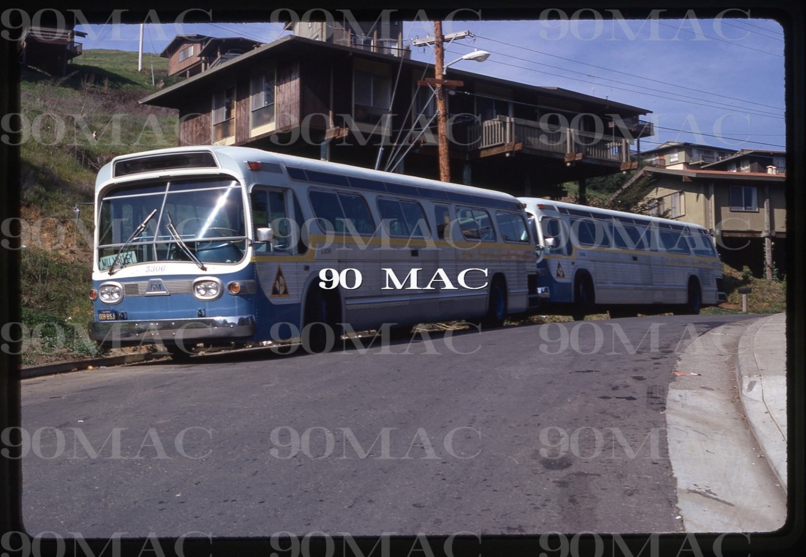 MARIN TRANSIT. GM COACH BUS #5306. San Rafael (CA). Original Slide 1971.