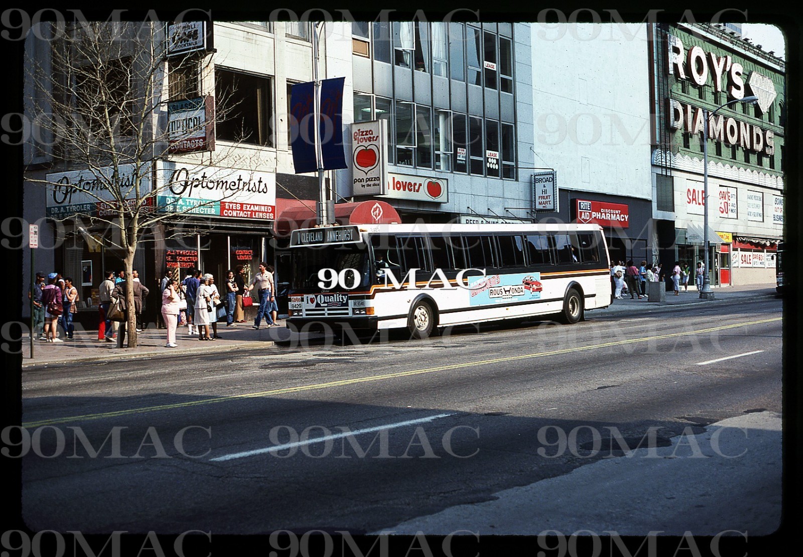 COTA. FLXIBLE METRO BUS #8429. Columbus (OH). Original Slide 1985.