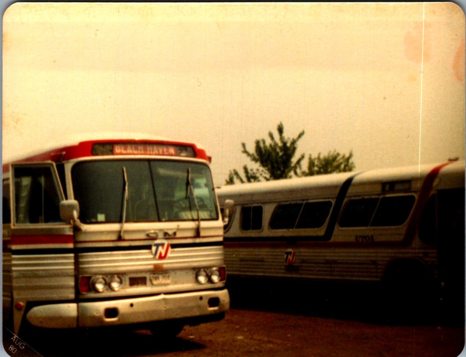 (LOT B) of 190+ bus trolley photos 3.5″x5″ transportation color