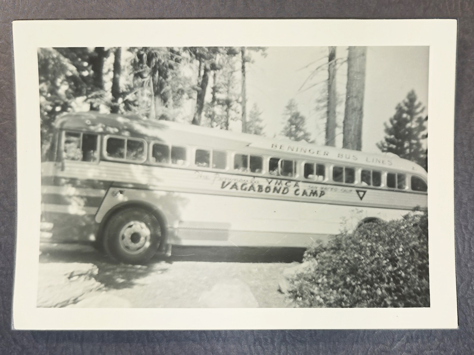 Vintage 1950 Photo Benninger Bus Lines Peninsula YMCA Vagabond Camp San Mareo Ca