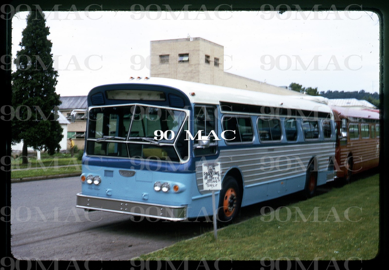 TAMPA TRANSIT. FLXIBLE BUS. Loudonville (OH). Original Slide 1974. (D)