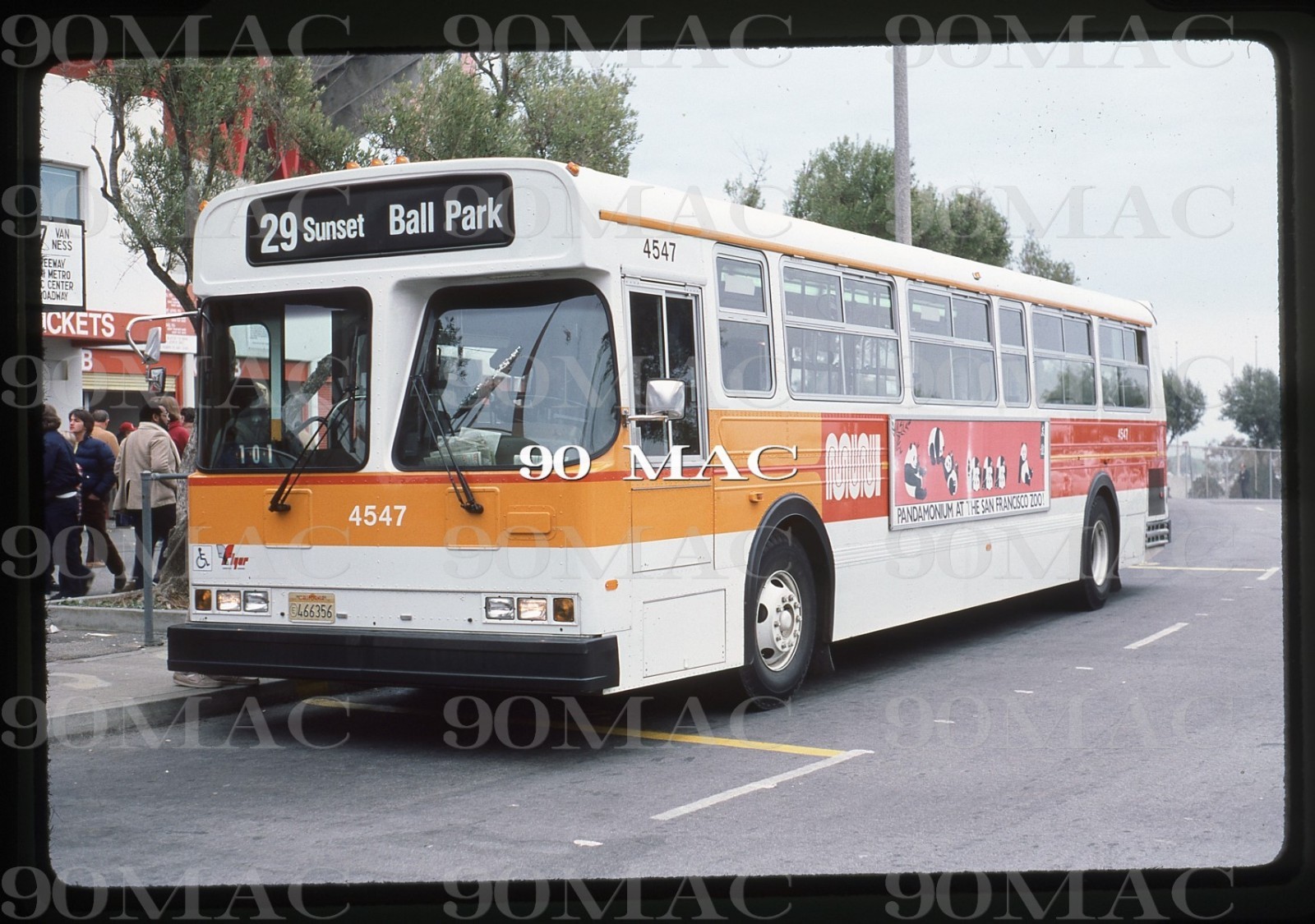 SF MUNI. FLYER BUS #4547. San Francisco (CA) Original Slide 1985. BALLPARK!