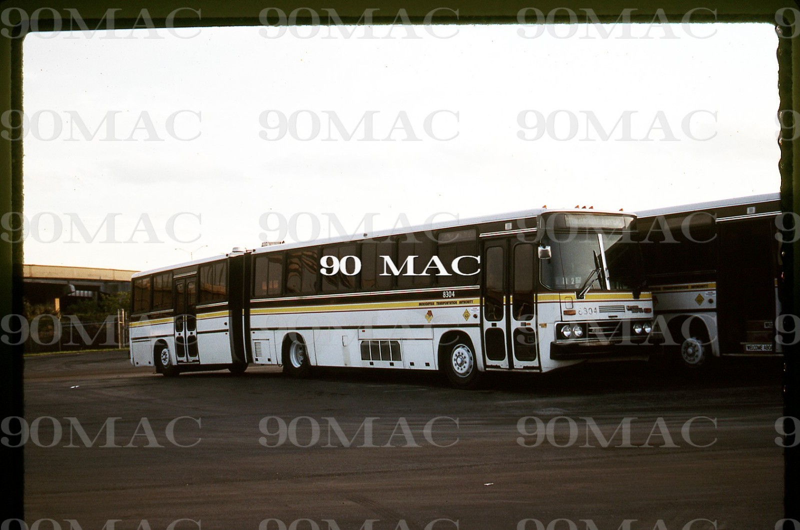 JTA. IKARUS BUS #8304. Jacksonville (FL). Original Slide 1991.