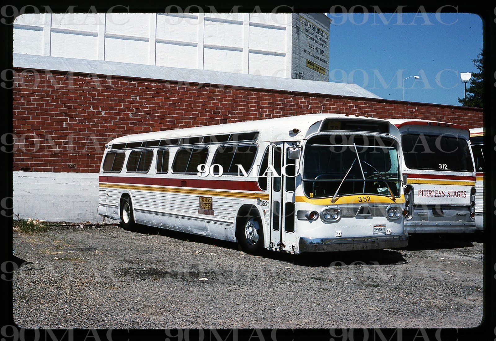 PEERLESS STAGES. GM COACH BUS #352. San Jose (CA). Original Slide 1989.