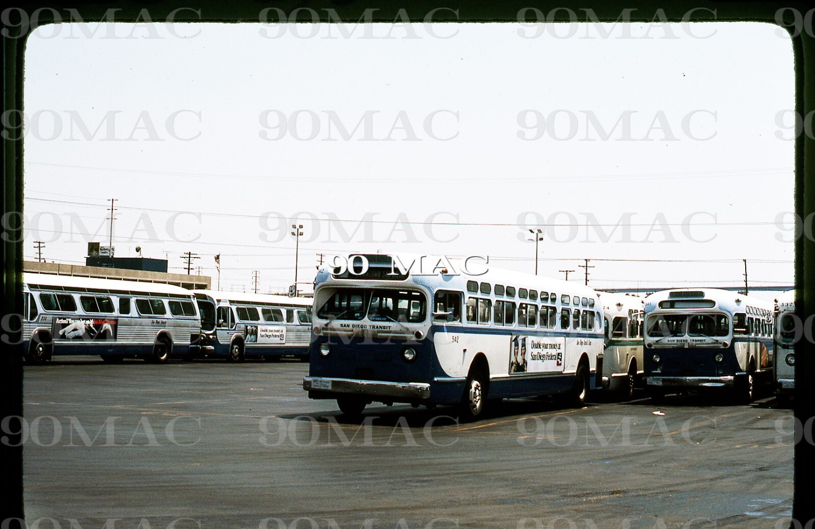SDTC. GM COACH BUS #542. San Diego (CA). Original Slide 1978.