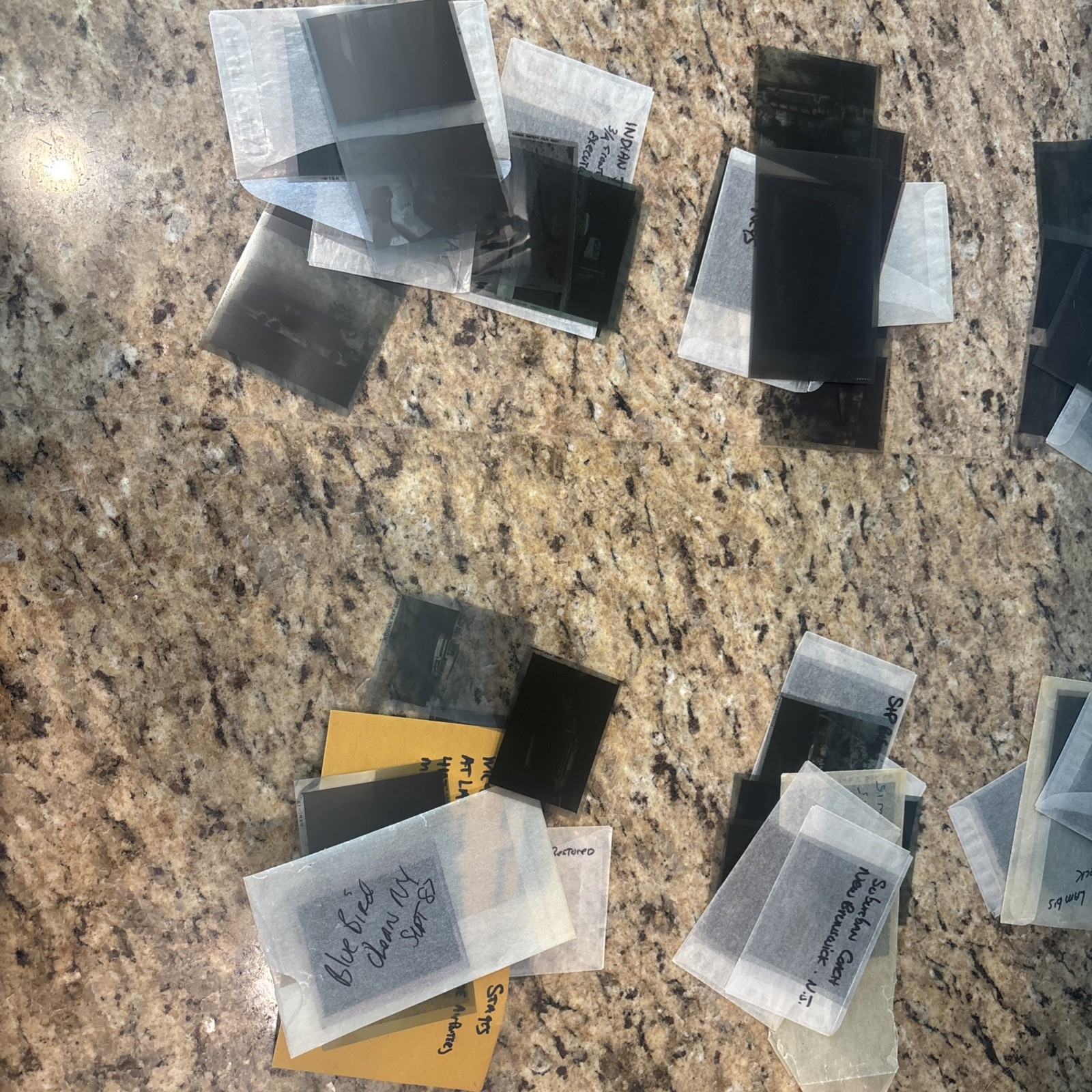 ORIGINAL 100 bus photograph negatives