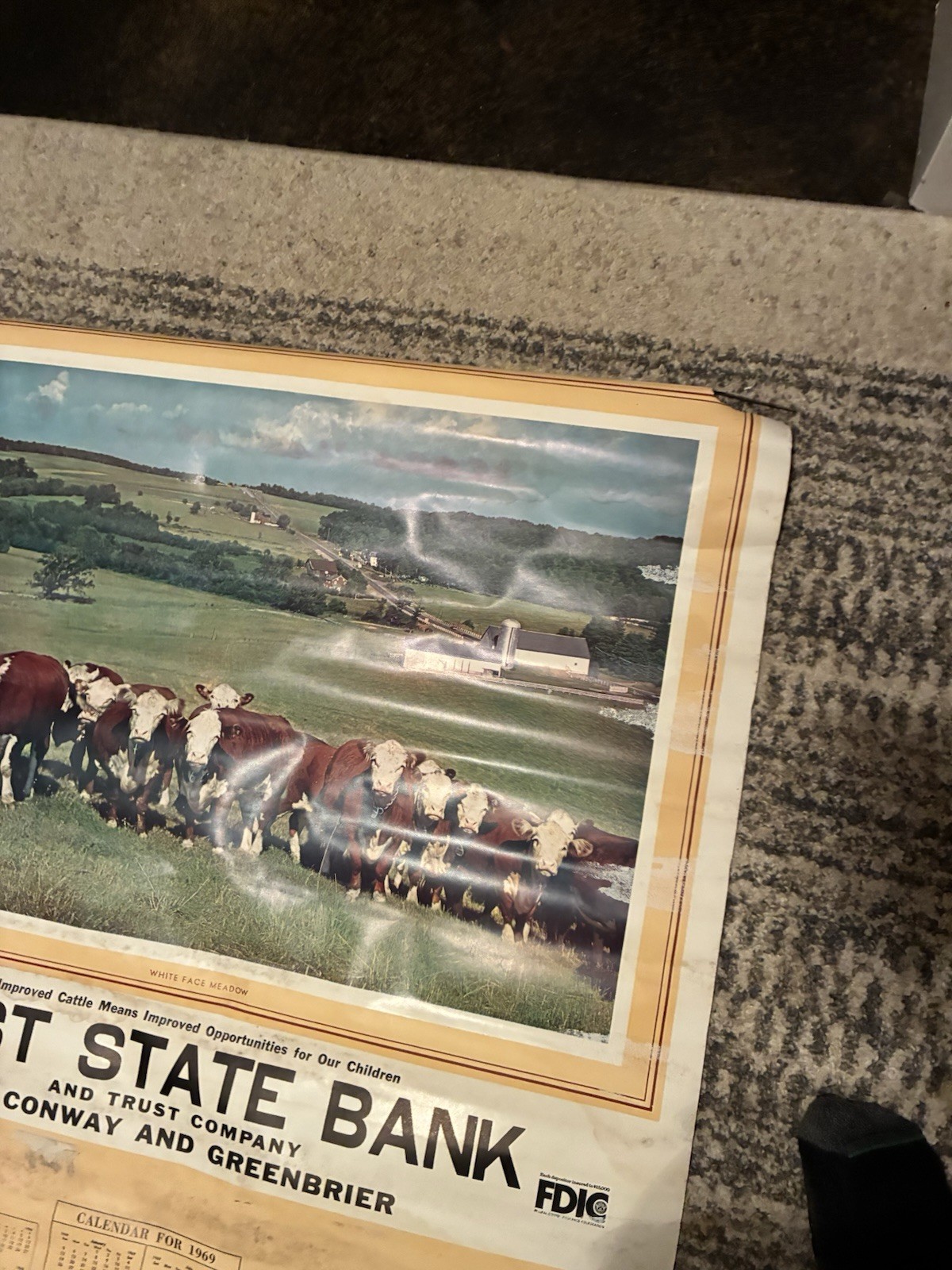1968-70 Calendar From Conway, Greenbrier Arkansas White Face Cattle HUGE