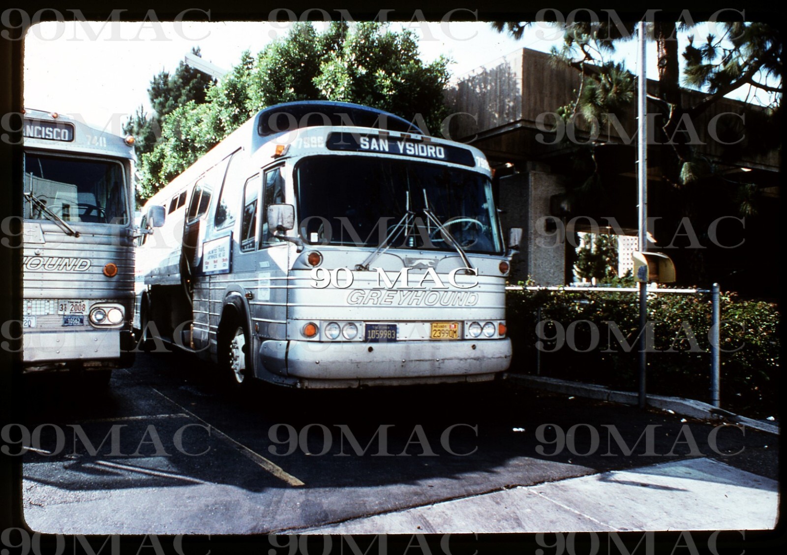 GREYHOUND LINES. GM PD4107 BUS #7986. San Diego (CA). Original Slide 1978.