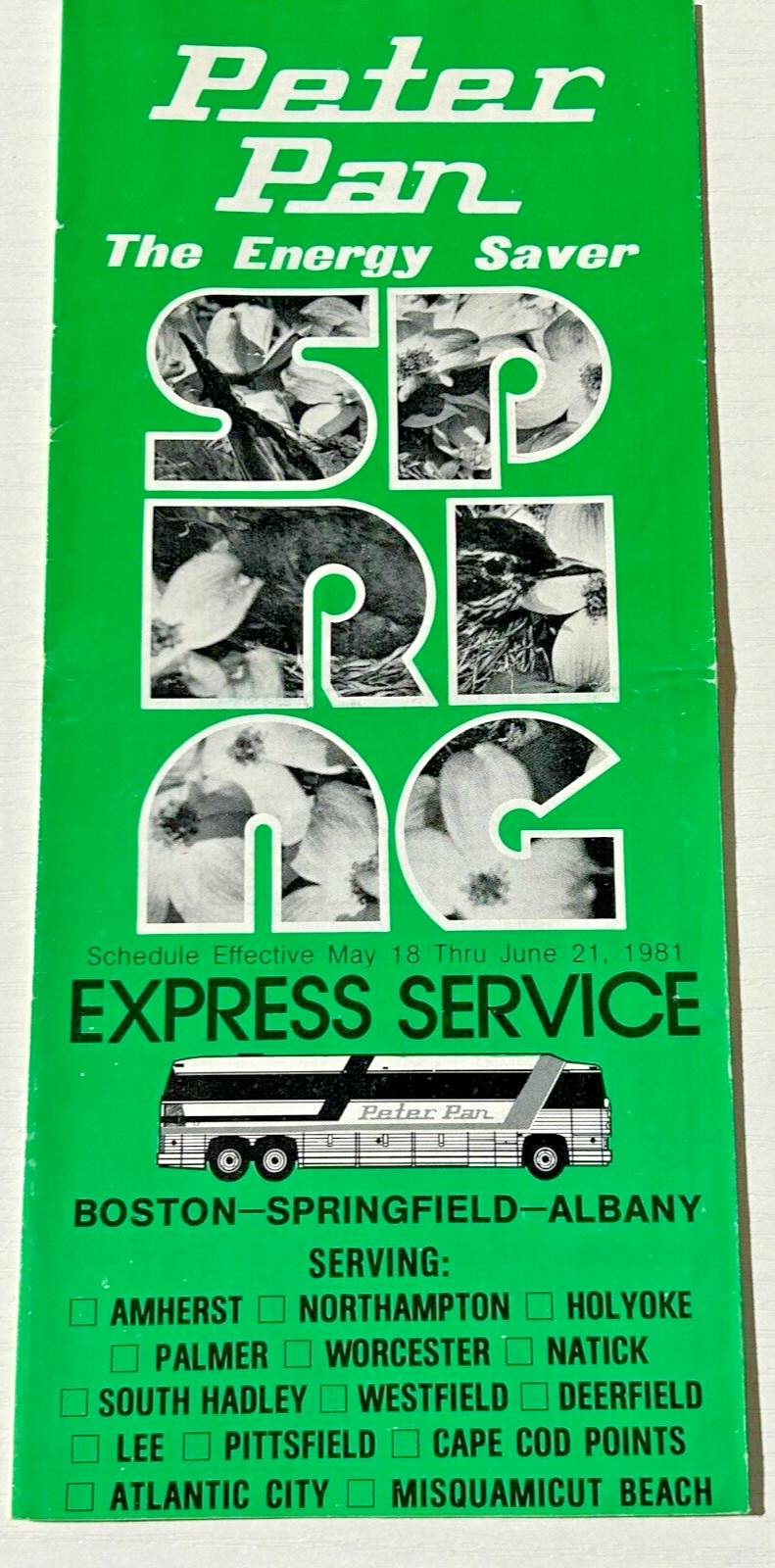 Peter Pan Bus Shuttle Spring 1981 Bus Timetable Boston MA – Albany NY