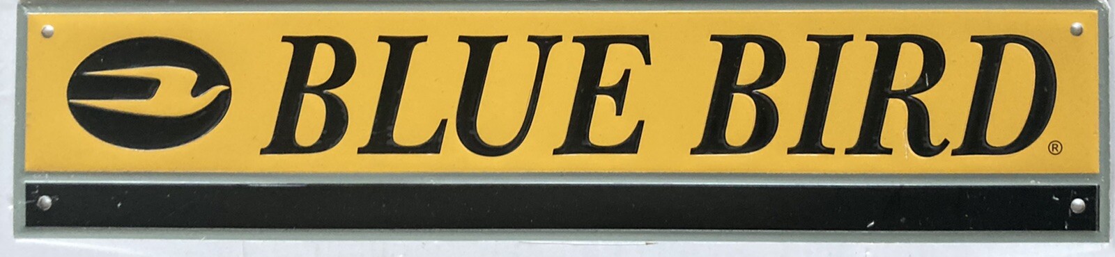 New – Blue Bird School Bus Metal Emblem Sign w/ Adhesive Backing 15″x3.25″