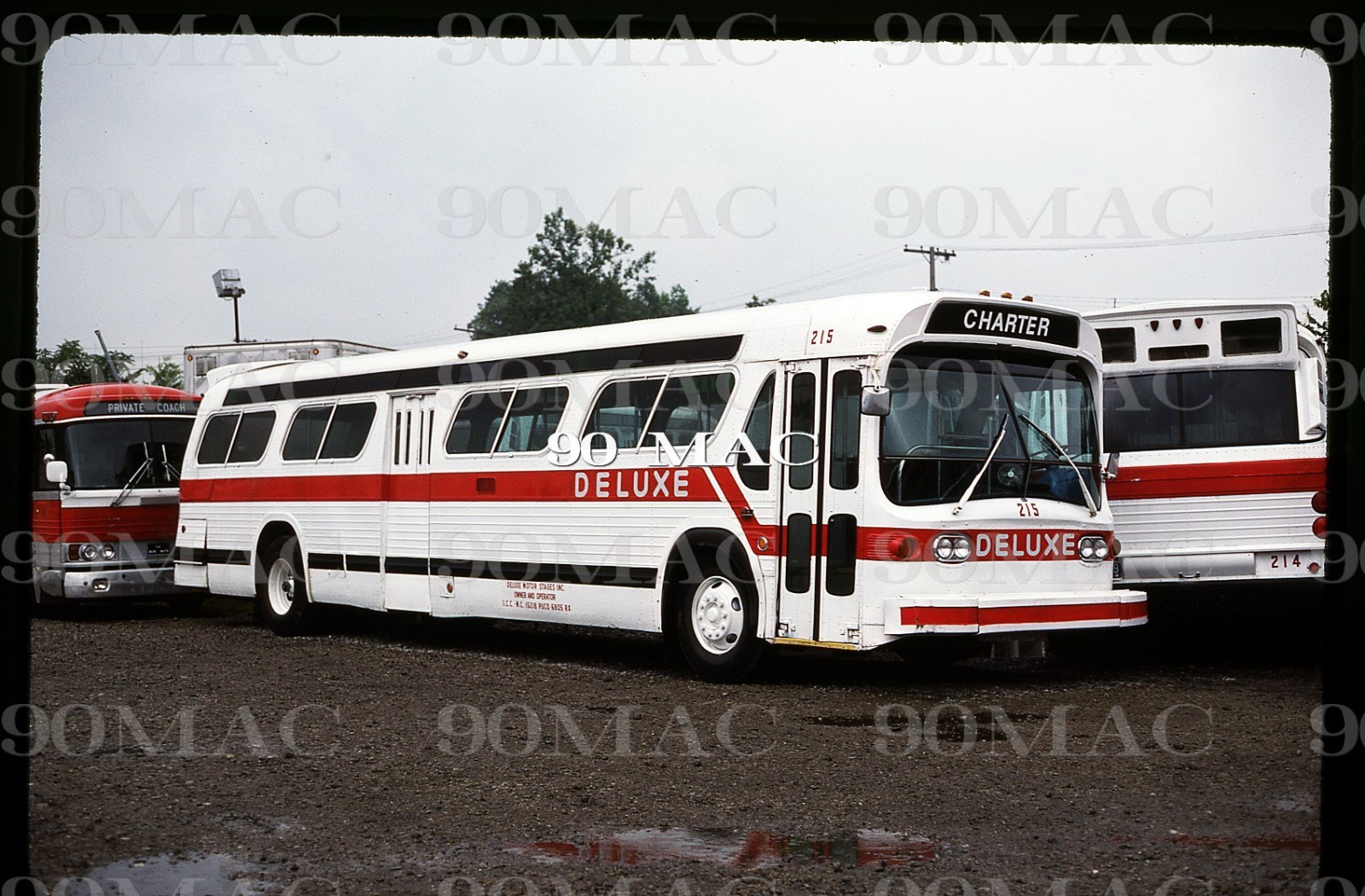 DELUXE MOTOR STAGES. GM COACH BUS #215. Holland (MI). Slide 1985.