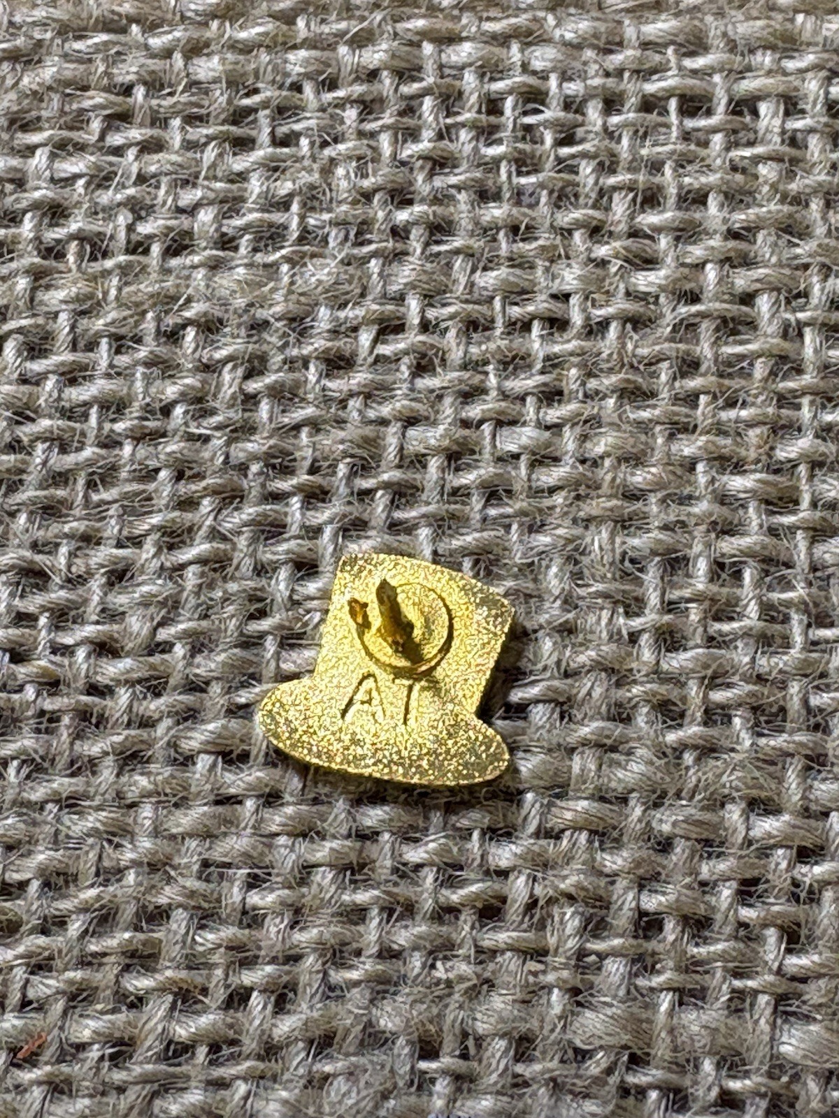 OC Transpo TOP HAT Ottawa Public Transportation Gold Tone Lapel Pin ***READ