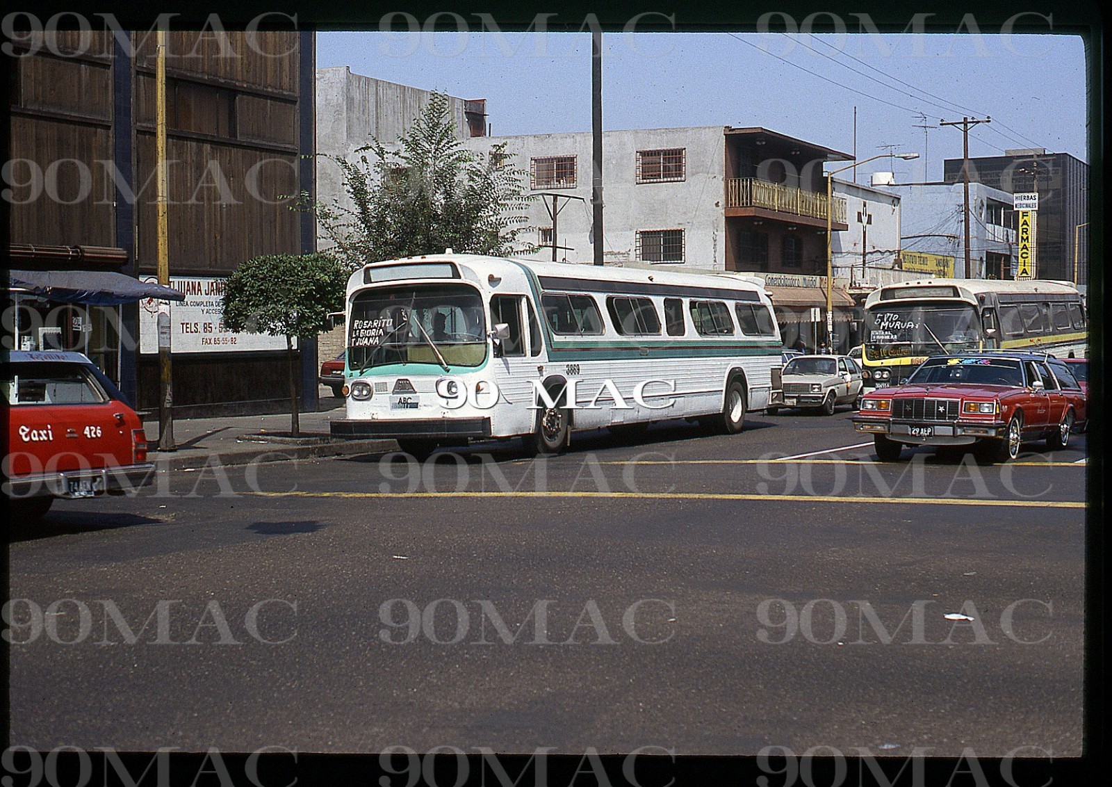ABC. GM COACH BUS #3869. Tijuana (MX). Original Slide 1992.