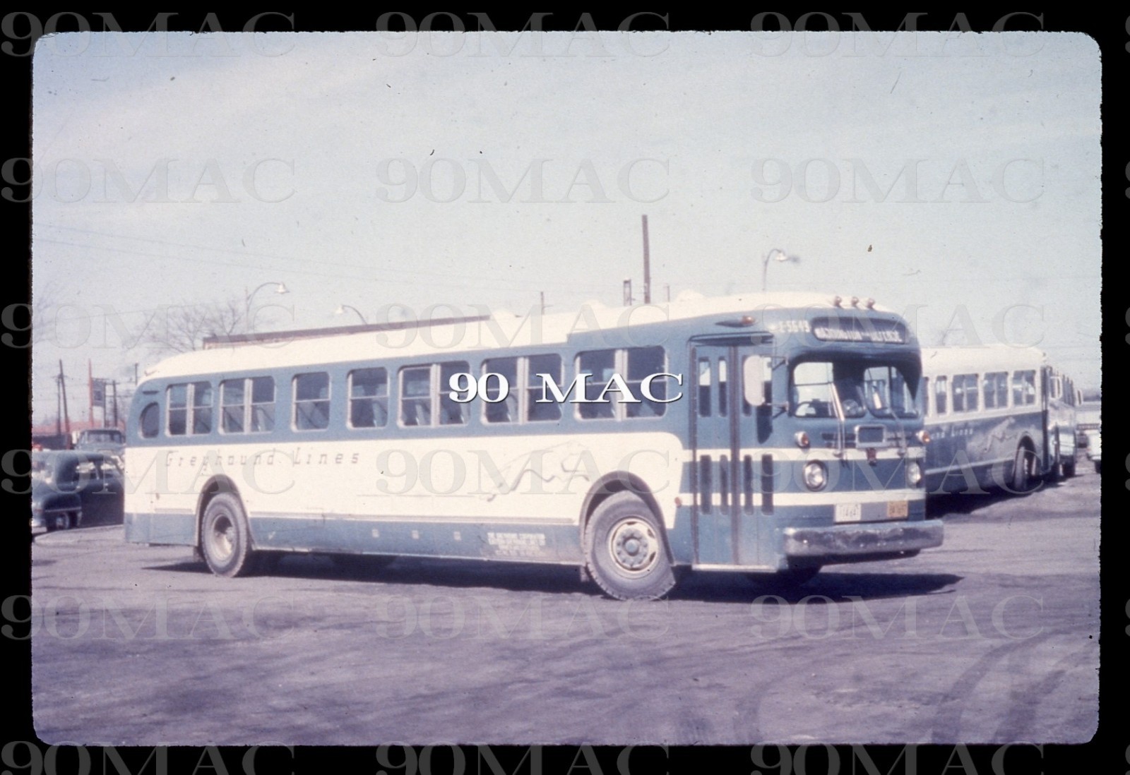 GREYHOUND. GM COACH BUS #E-5649. Cleveland (OH). Duplicate Slide 1959.