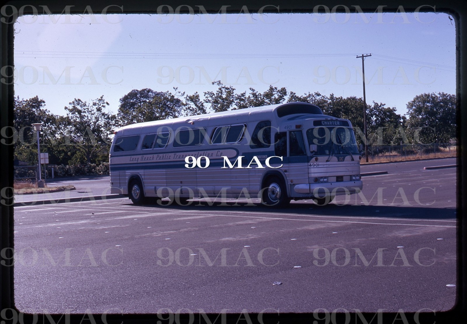 LBPTC. GM COACH BUS #4901. Long Beach (CA). Original Slide 1974.