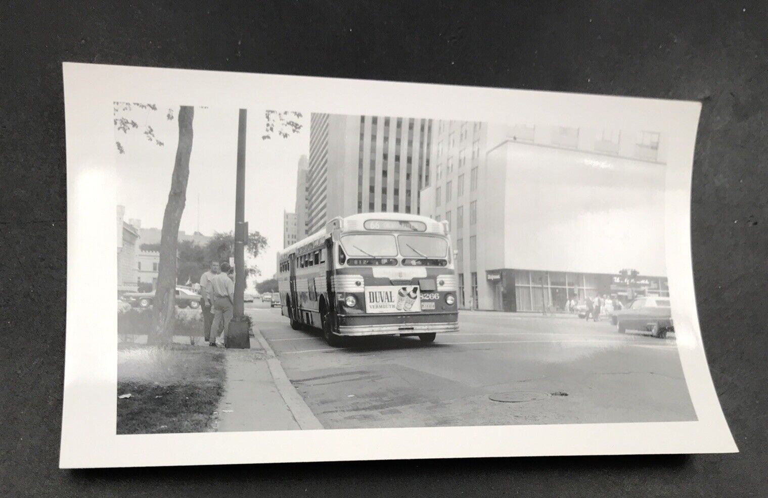 Bus Chicago Transit Authority CTA 8266 Route 66 Mayfield Photo Duval Vermouth