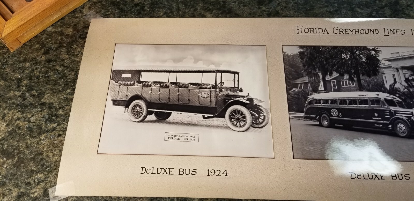 Florida Greyhound Lines Deluxe Bus Photograph Features 1924, 1936, 1949 (1136)