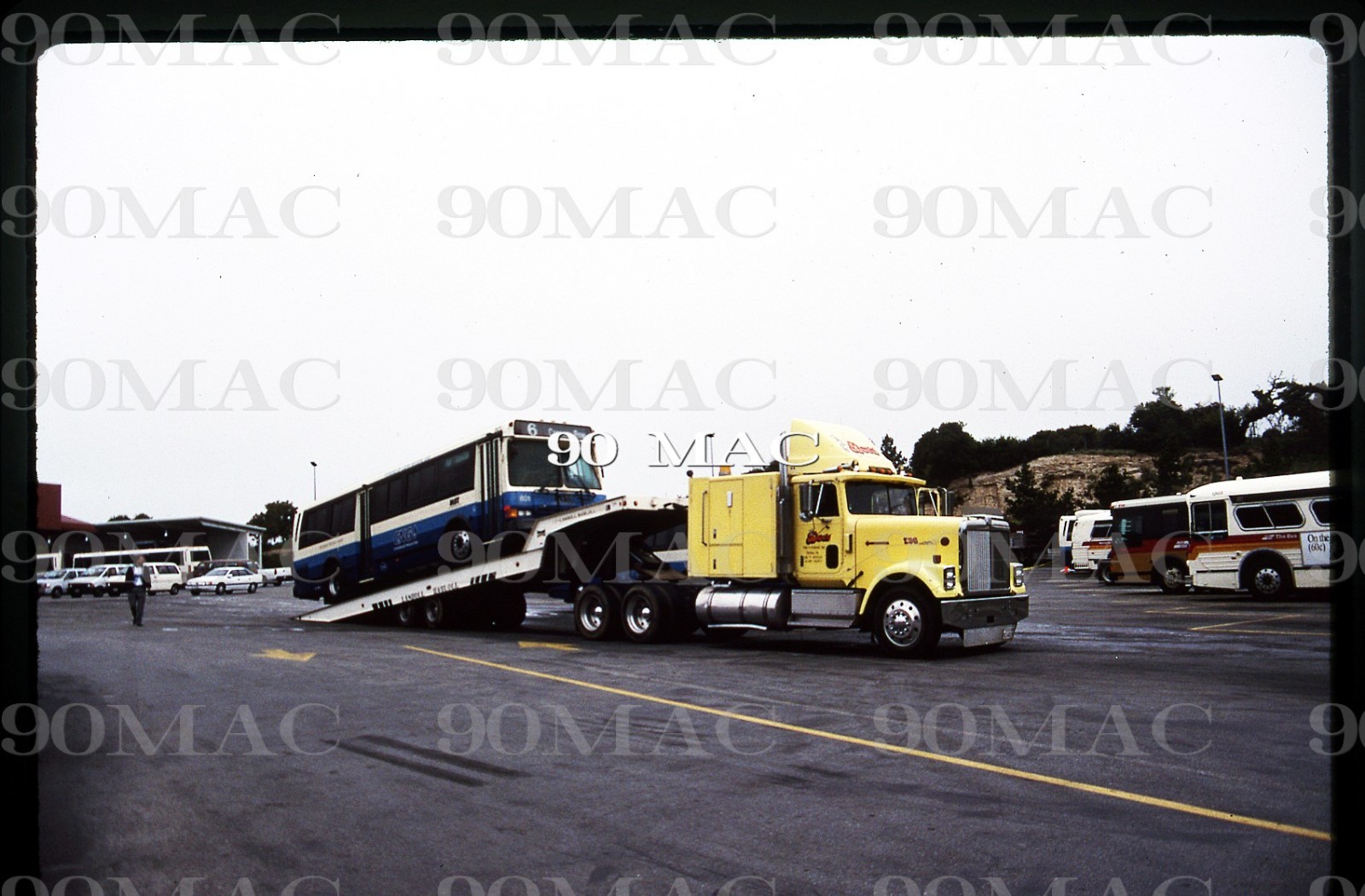 MST. FLXIBLE BUS #801. Monterey (CA). Original Slide 1996. Last Flxibles!