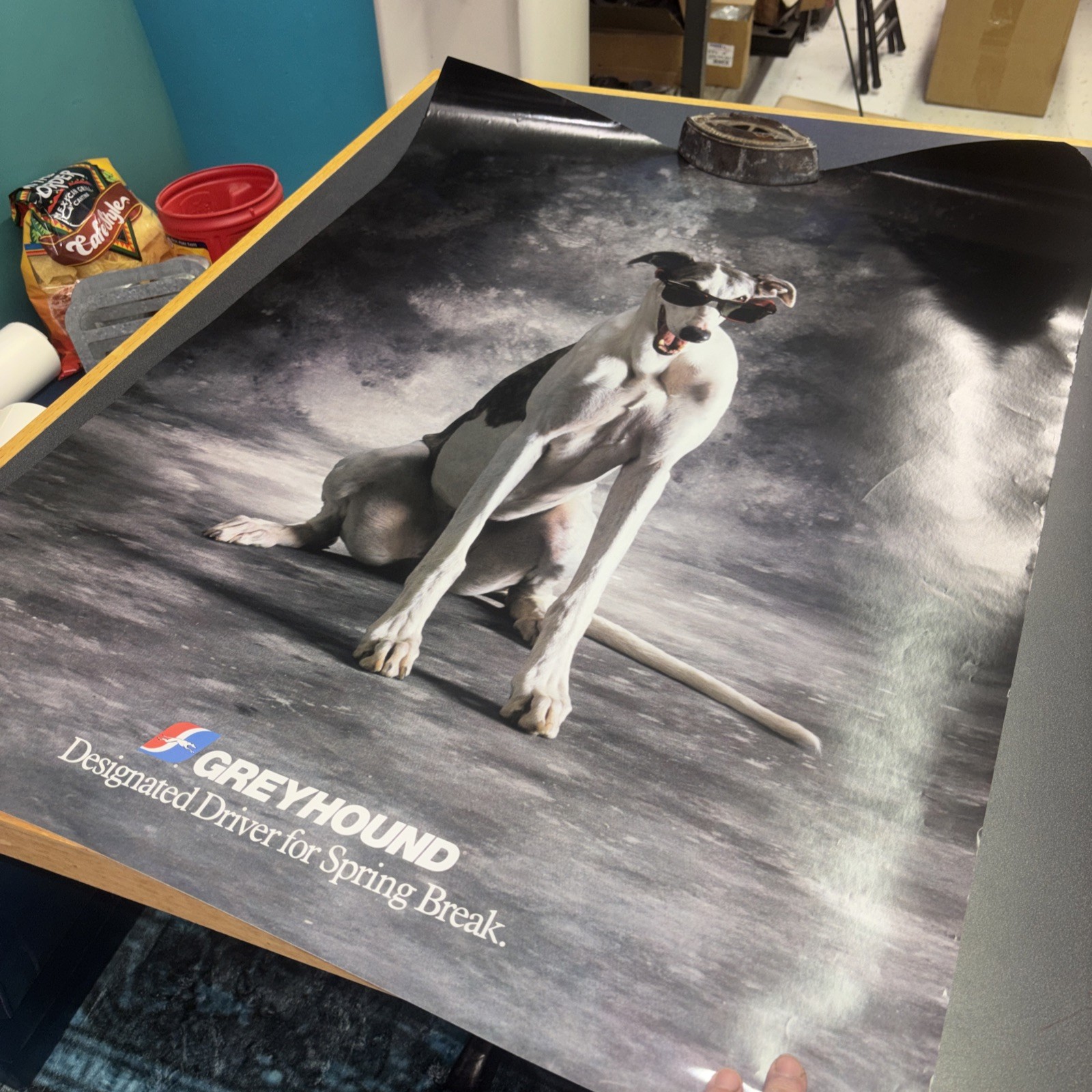 1991 Greyhound BUS Advertising Poster DOG Designated Driver for Spring Break