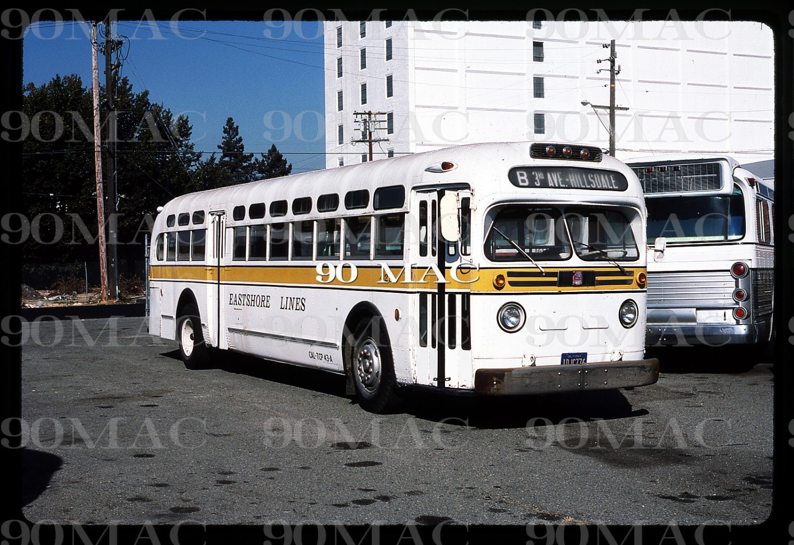 EASTSHORE LINES. GM COACH BUS #429. SFO (CA). Original Slide 1987.