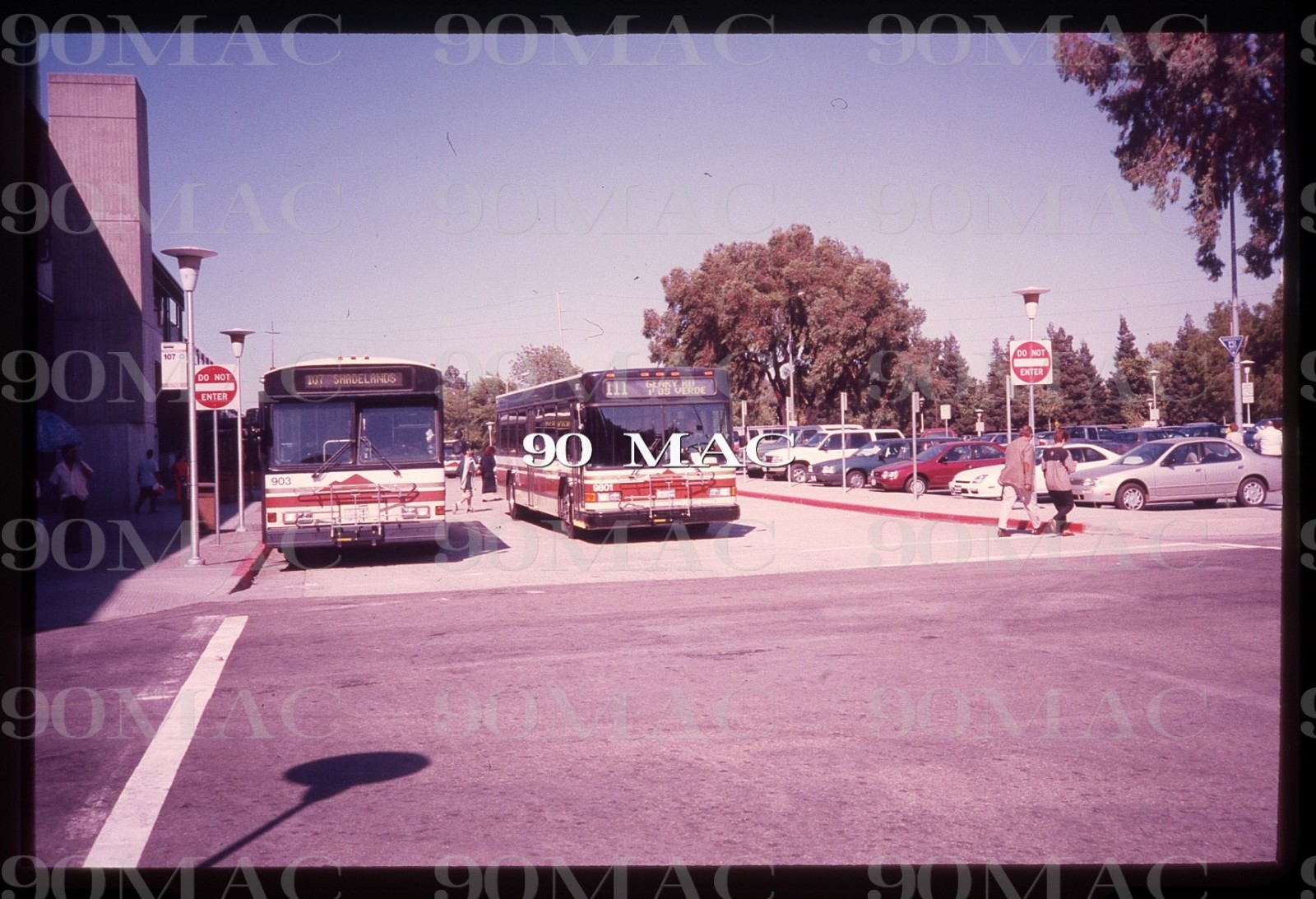 CCCTA. GILLIG BUS #9801 & 903. Concord (CA). Original Slide 1998.
