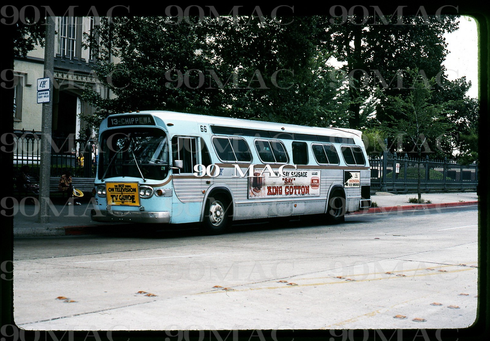 CAPITAL TRANSIT CORP. GM COACH BUS #66. Baton Rouge (LA). Original Slide 1980.