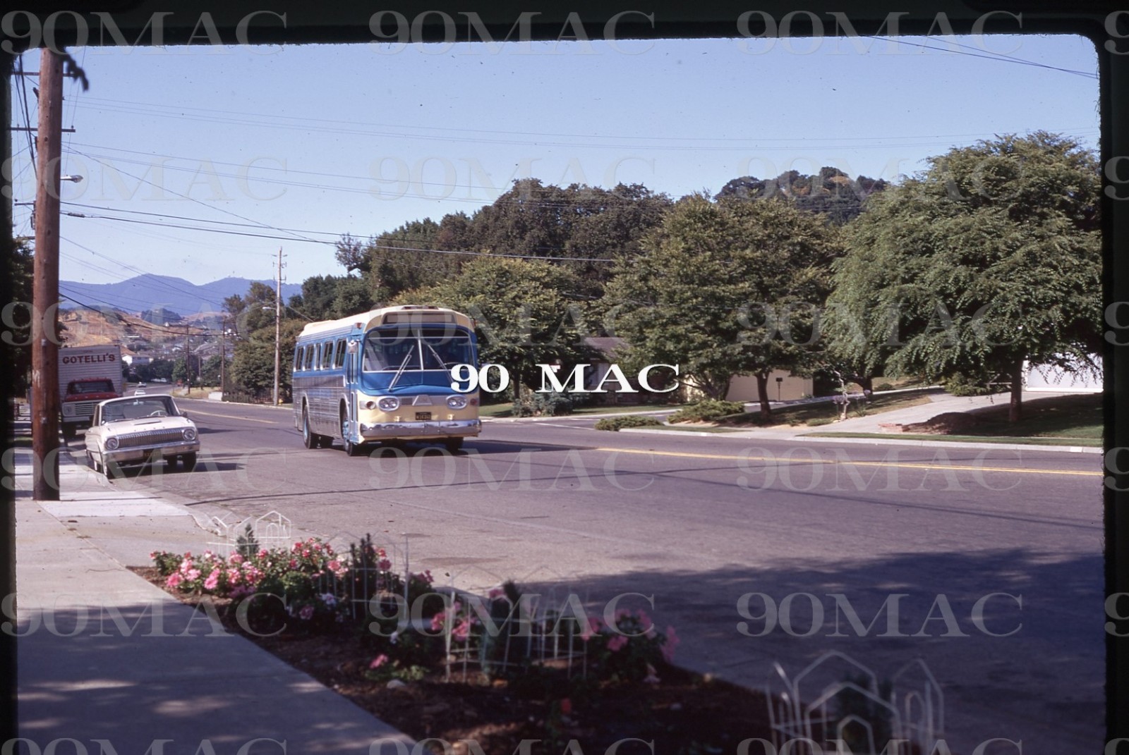 MARIN TRANSIT. GM COACH BUS #A06. San Rafael (CA). Original Slide 1971. (A)