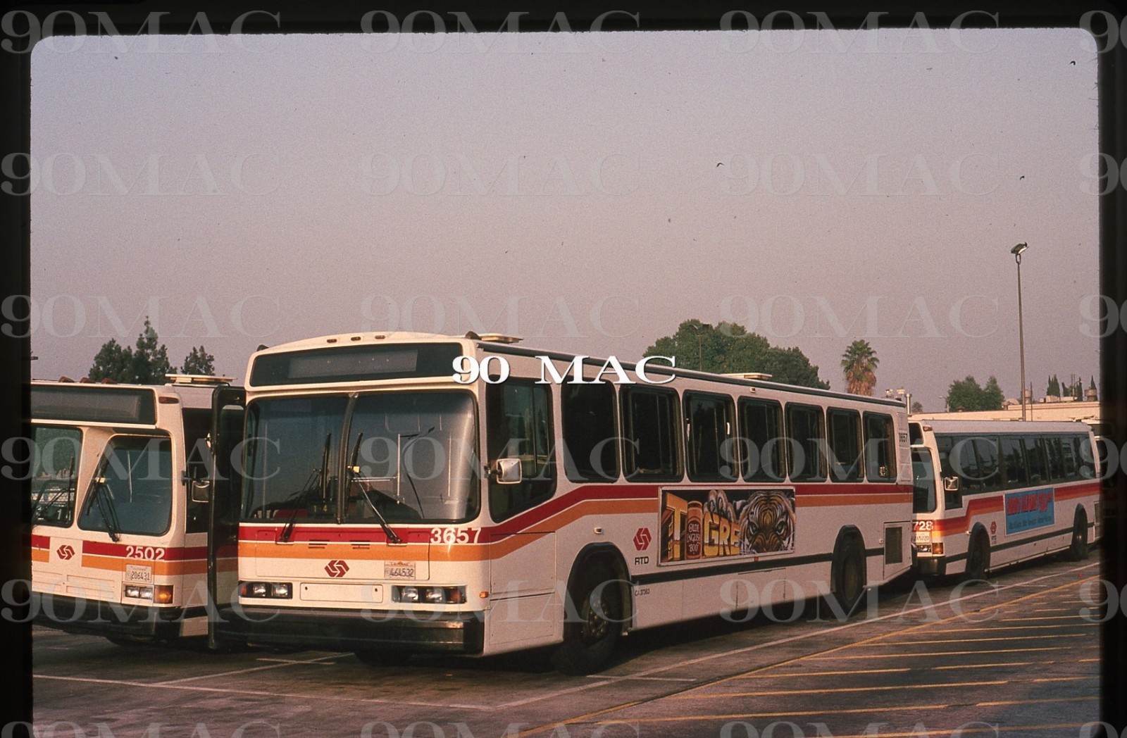 RTD-SCRTD. NEOPLAN BUS #3657. El Monte (CA). Original Slide 1994. D9.
