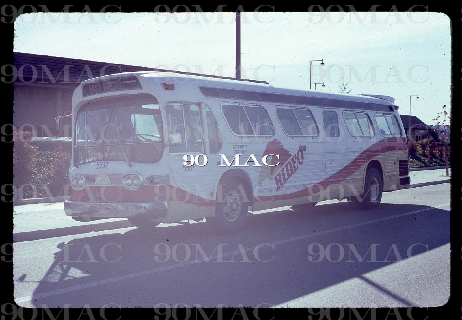 RIDEO. GM COACH Bus #5337. Livermore (CA). Original Slide 1981.