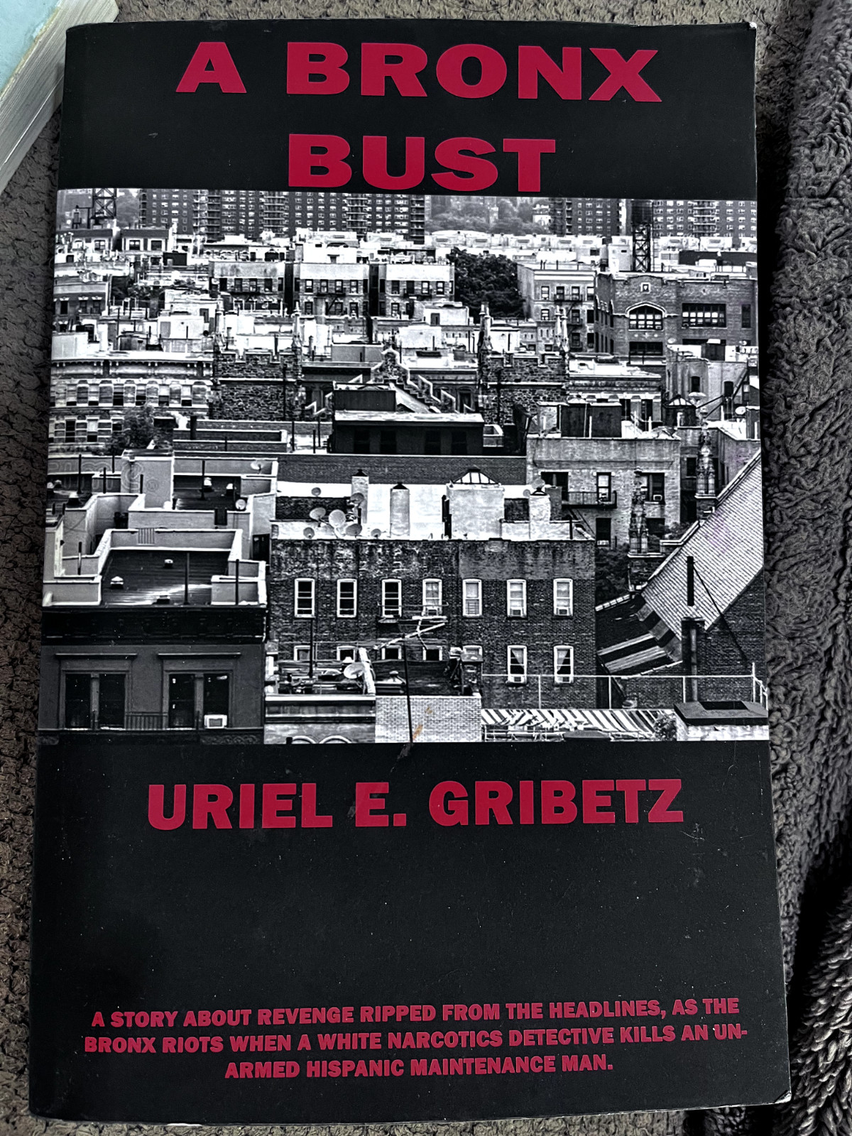 A bronx Bust by Uriel E. Gribetz