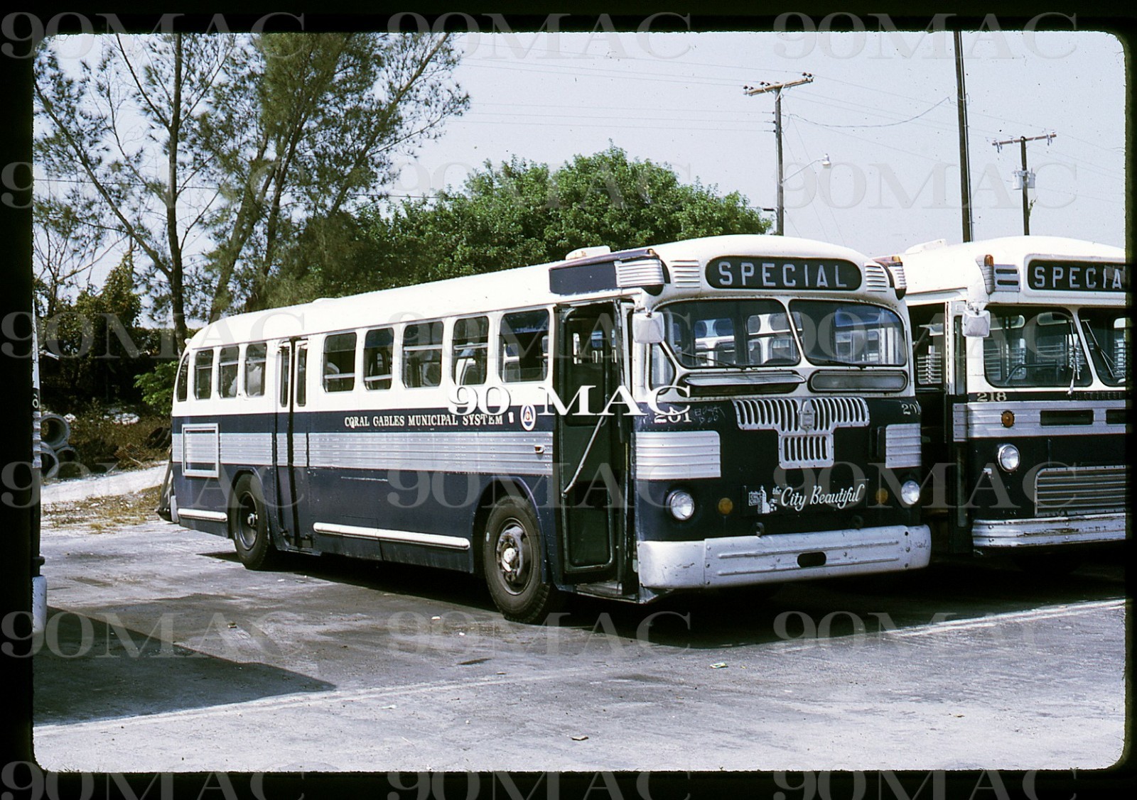 CGMS. TWIN COACH BUS #241. Coral Gables (FL). Original Slide 1972.