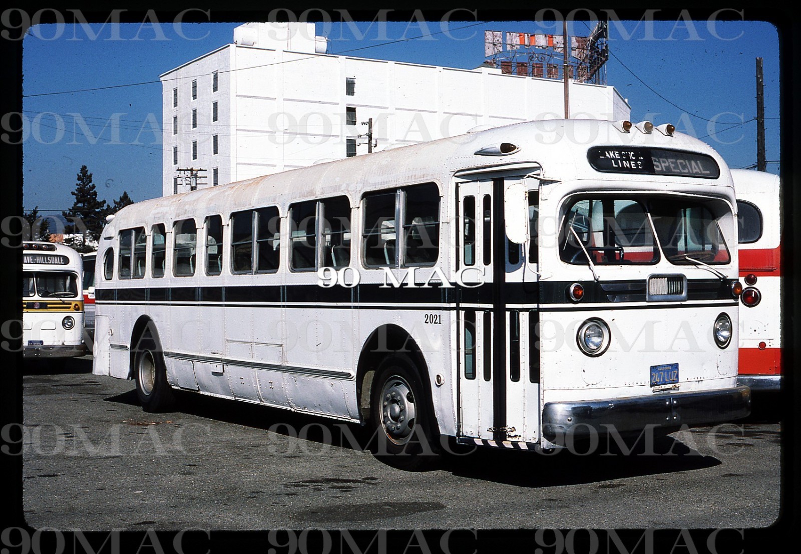 EASTSHORE LINES. San Francisco (CA). Original Slide 1987. GM COACH #2021.