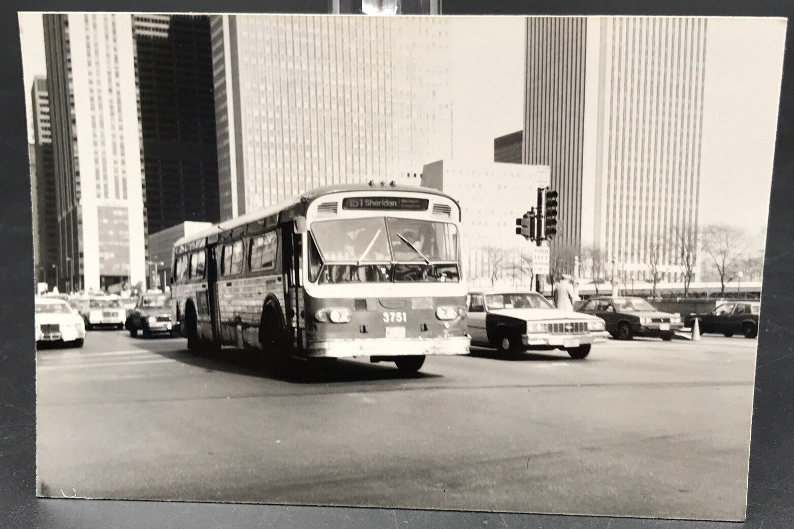 Chicago Transit Authority CTA Bus #3751 Route 151 Sheridan Photo
