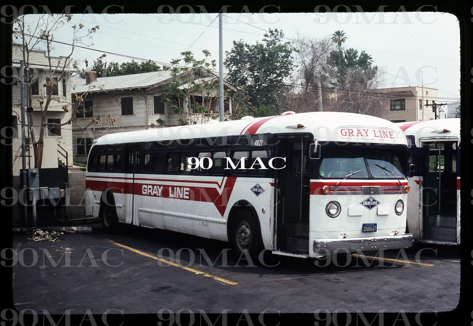 GRAY LINE OF LA. GM COACH #4821. Los Angeles (CA). Original Slide 1981.