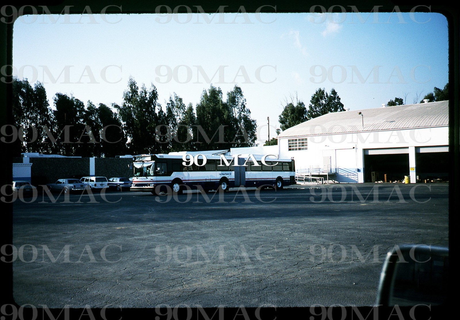 SDT-MTS. NF ARTICULATED BUS #1150. San Diego (CA). Original Slide 1993.