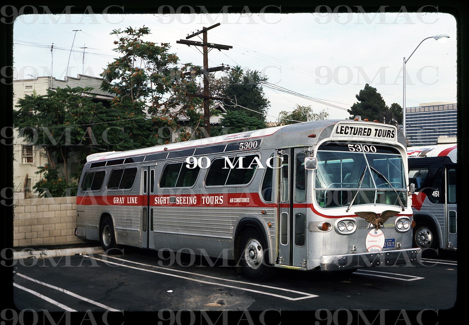 GRAY LINE-GLOLA. GM COACH BUS #5300. Los Angeles (CA). Original Slide 1978.
